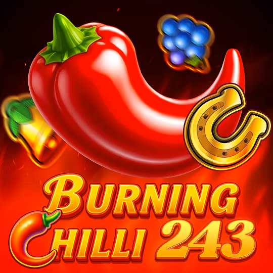 Okładka gry Burning Chilli 243