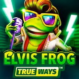 Okładka gry Elvis Frog Trueways